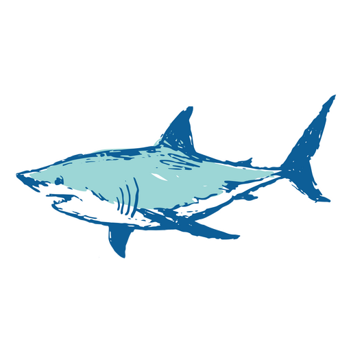 Illustration Of Blue Shark PNG & SVG Design For T-Shirts