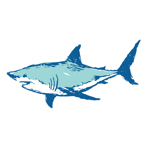 Ilustración de tiburón azul Diseño PNG
