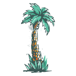 Tropical coconut palm PNG Design