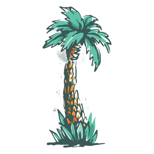 Tropical coconut palm PNG Design