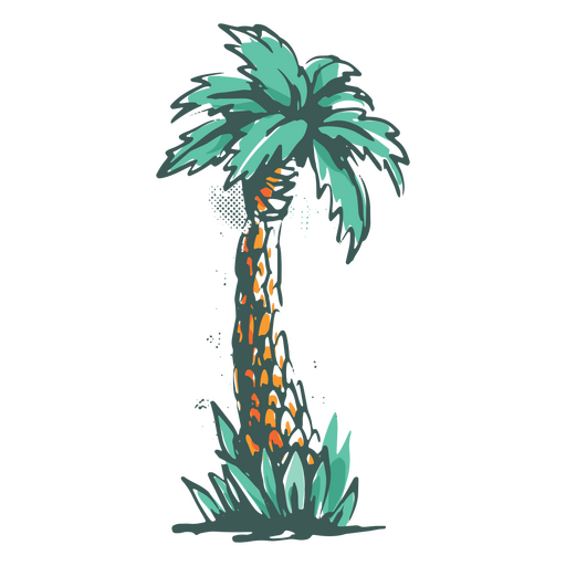 Tropische Kokospalme PNG-Design