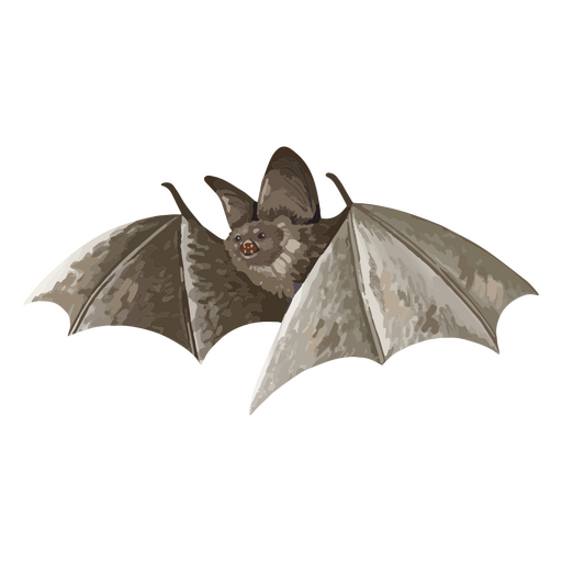 Acuarela de murciélago volador Diseño PNG