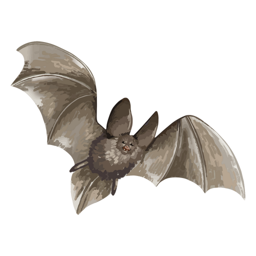 Murciélago extendiendo sus alas Diseño PNG