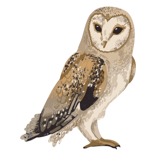 Standing owl watercolor PNG Design