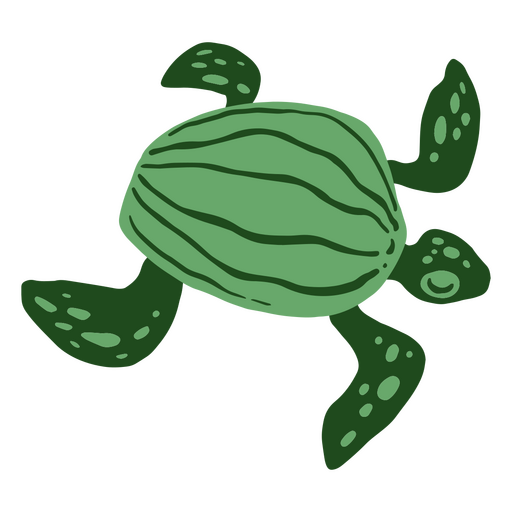 Doodle of sea turtle PNG Design