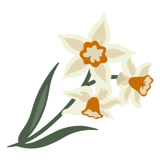Drei Narzissenblüten  PNG-Design