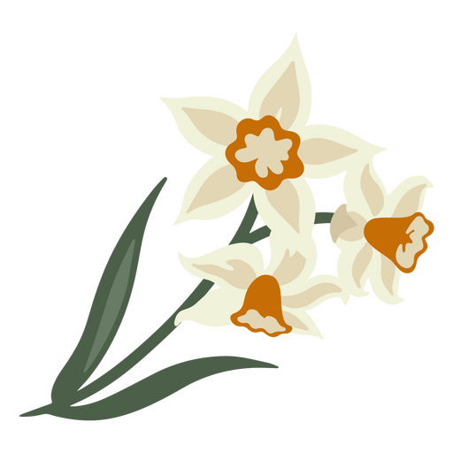 Tres flores de narciso  Diseño PNG