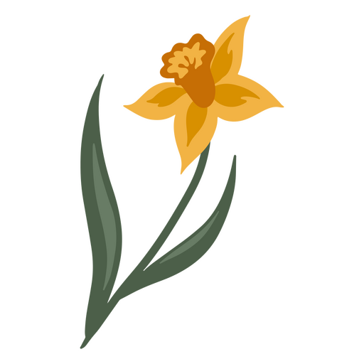 Flor de narciso amarela única Desenho PNG