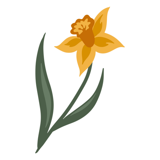 Gelbe einzelne Narzissenblüte PNG-Design