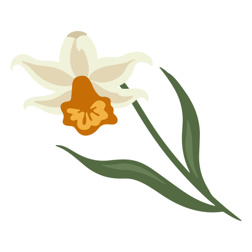 Flor de narciso blanco Diseño PNG