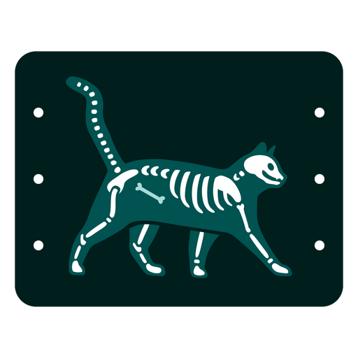 Kitty veterinaria radiografías ilustración Diseño PNG