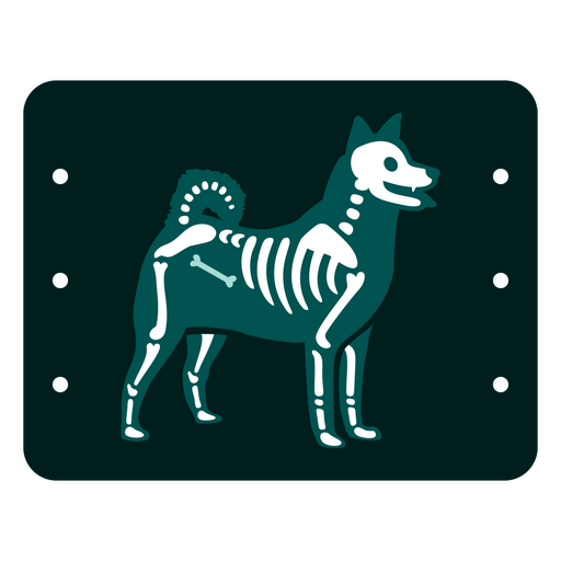 X ray dog PNG Design
