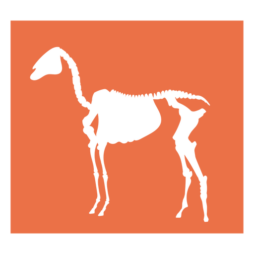 Silhueta de um esqueleto de cavalo em um fundo laranja Desenho PNG