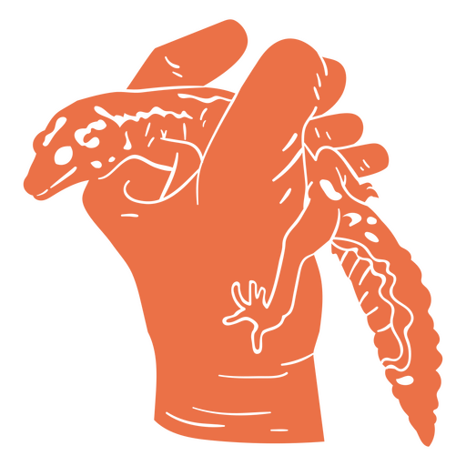 Tierarzt h?lt einen Gecko in der Hand PNG-Design