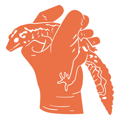 Vet hand holding a gecko PNG Design