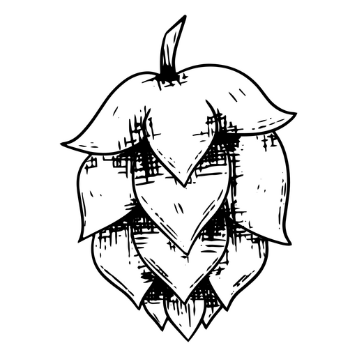 Design detalhado de ilustração de lúpulo Desenho PNG