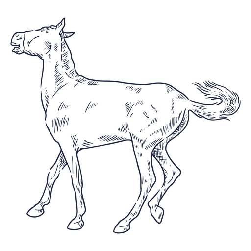 caballo perturbado Diseño PNG