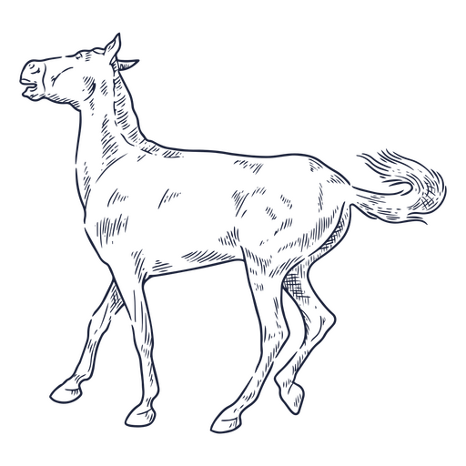 cavalo perturbado Desenho PNG