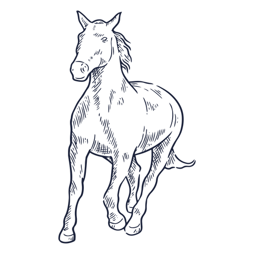 Designs PNG de desenho de cavalo para Camisetas e Merch