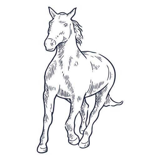 Running horse drawing PNG Design