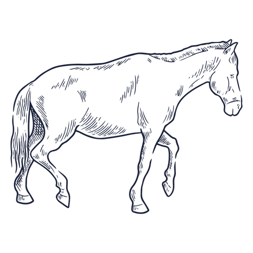 Tired horse PNG Design