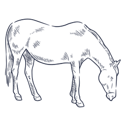 Pferdeskizze PNG-Design