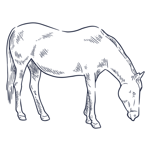 desenho de cavalo Desenho PNG