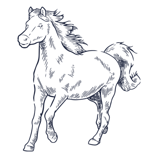 Design PNG E SVG De Desenho De Cavalo-marinho Fofo Para Camisetas