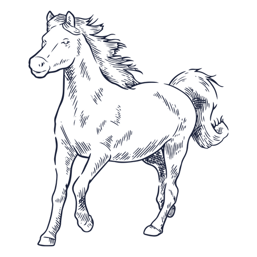 Wild horse sketch PNG Design