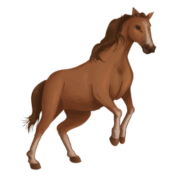 Design Png E Svg De Ilustra O Realista De Cavalo Para Camisetas