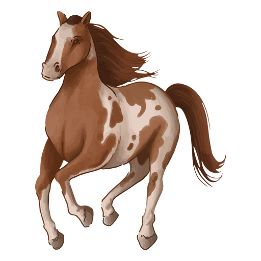 Cavalo marrom e branco correndo Desenho PNG