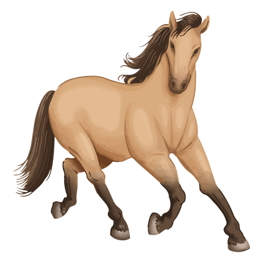 Designs PNG de cavalo de desenho animado para Camisetas e Merch