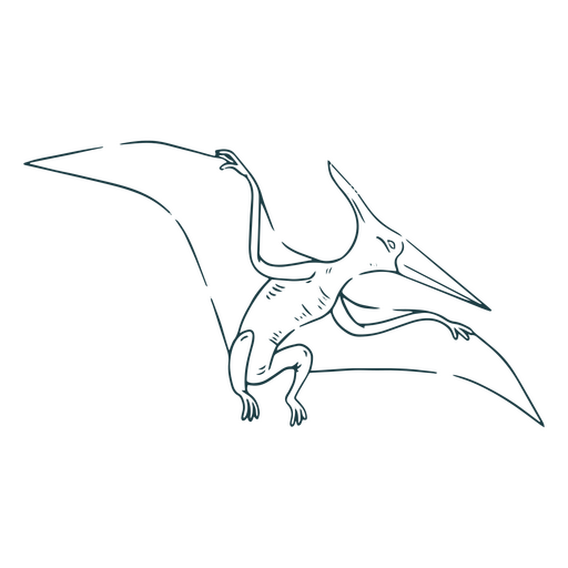 Pterodactylus drawing PNG Design