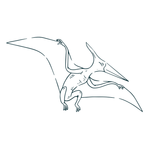 Baby Pterodactyl Dinosaur Color Stroke PNG & SVG Design For T-Shirts