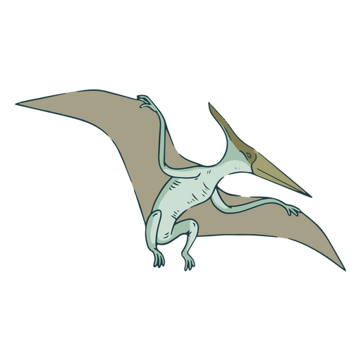 Premium PSD  Flying pterodactyl isolated on transparent background