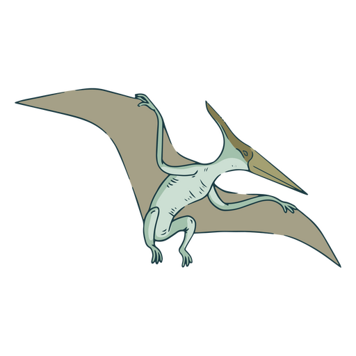 Premium PSD  Pterodactyl flying concept isolated on transparent background