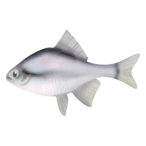 Aquarela de peixe branco Desenho PNG