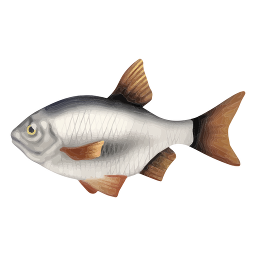 Silver fish PNG Design