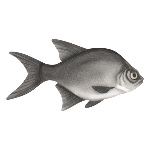 Black and white fish PNG Design