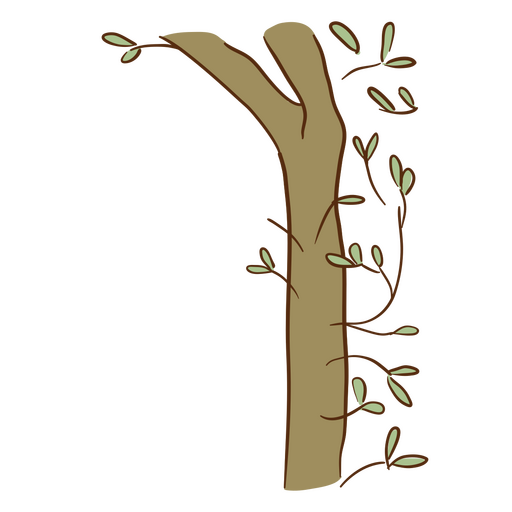 Ilustración de un árbol con hojas Diseño PNG