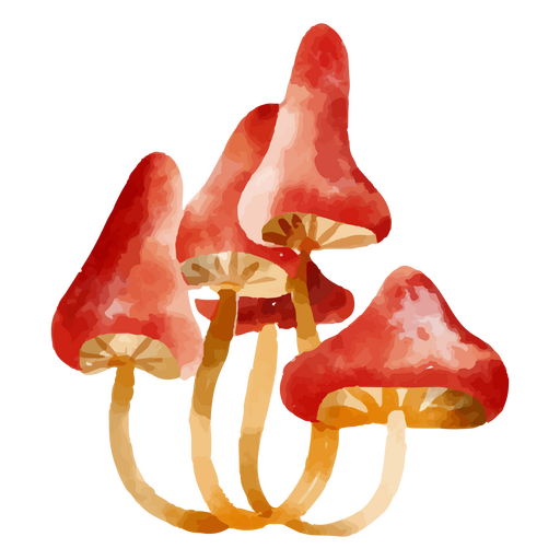 Watercolor illustration of red mushrooms PNG Design