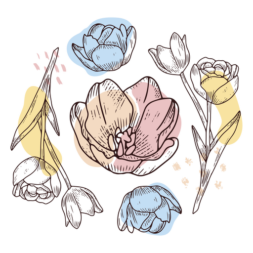 Conjunto de flores em círculo Desenho PNG