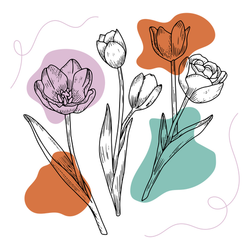 Conjunto de flores desenhadas à mão Desenho PNG