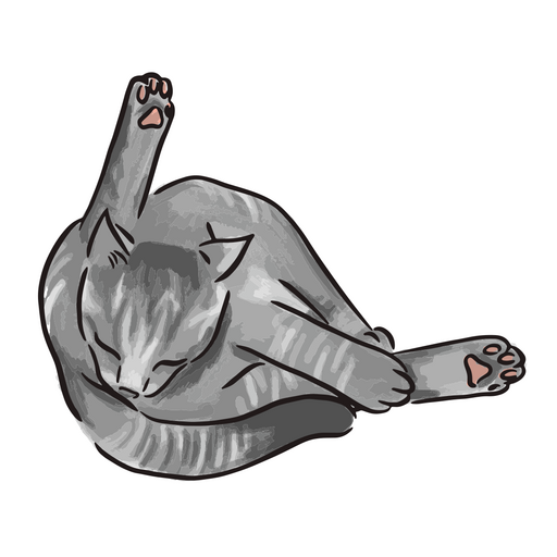Gato gris con las patas arriba Diseño PNG