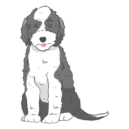 Perro blanco y negro sentado Diseño PNG