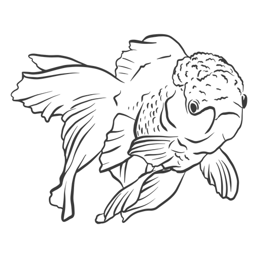Black and white drawing of a goldfish PNG Design