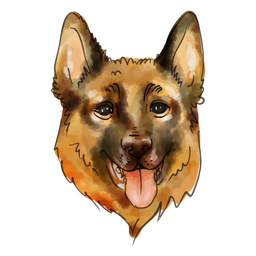 Cão pastor alemão em aquarela Desenho PNG