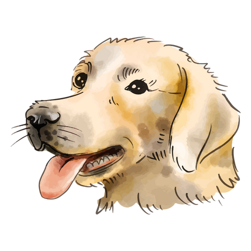 Cachorro Golden Retriever em aquarela