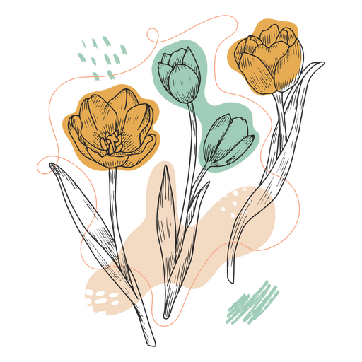 Drawing of tulips PNG Design