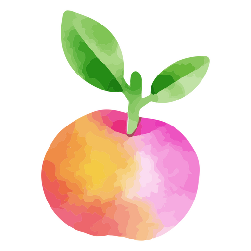 Fruta aquarela de maçã Desenho PNG